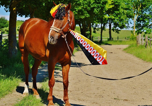 术执行力的 术执行力的