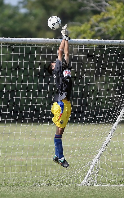 哈登和其他 哈登和其他