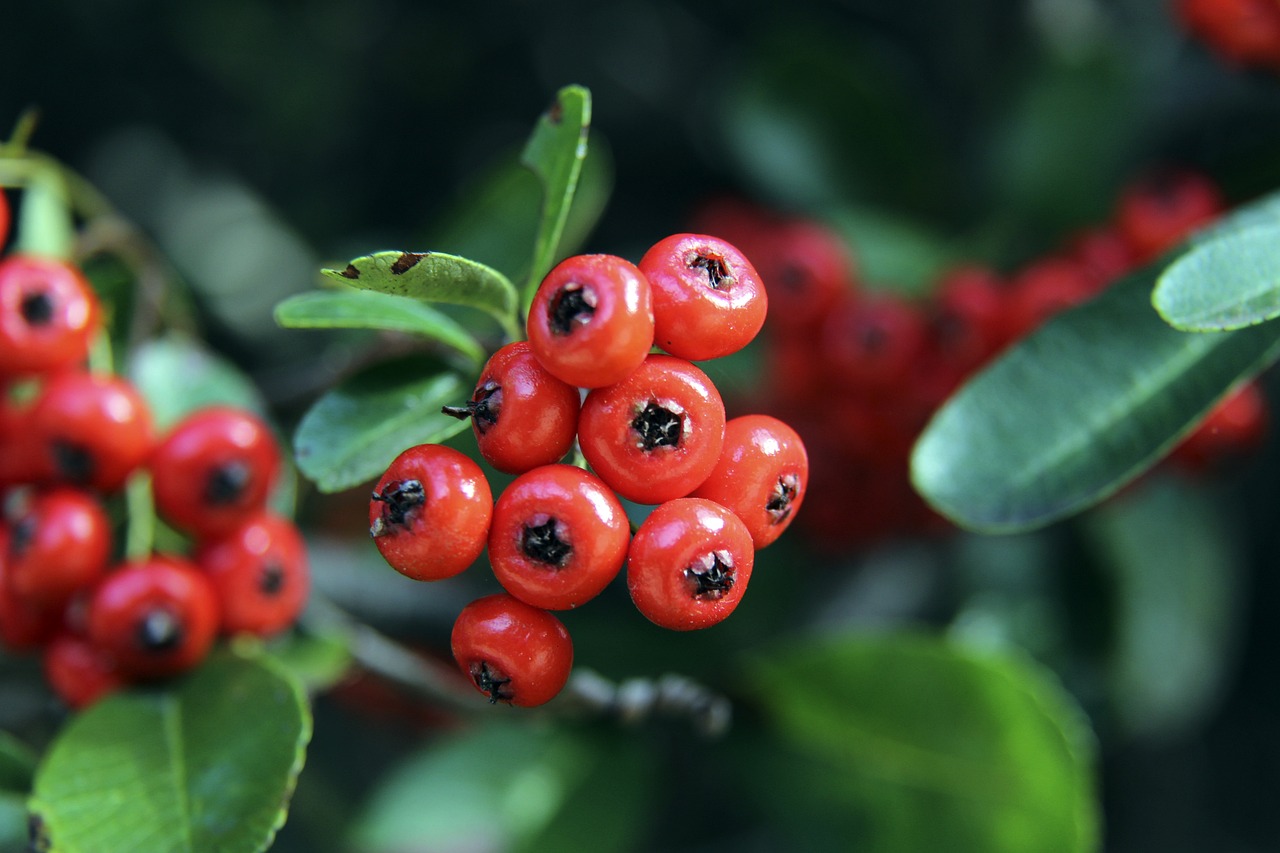 作电影中的 作电影中的