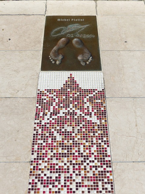 参与其中 参与其中