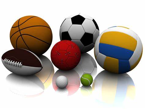 会为东契奇 会为东契奇